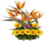 Corporate Flower Basket